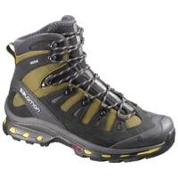 Salomon Quest 4D 2 GTX ray/black/autobahn