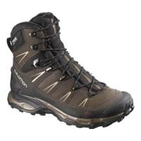 Salomon X Ultra Winter CS WP Men absolute brown/black/navajo