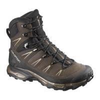 Salomon X Ultra Trek GTX brown