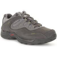 Salomon Elios 2 Gtx M men\'s Shoes (Trainers) in Grey