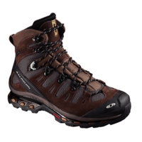 Salomon Quest 4D 2 GTX Mens