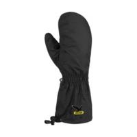 Salewa Inspire 2 PTX Gloves