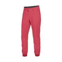 salewa agner engineered pant women mineral red 00 0000026263