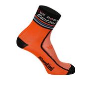 Santini De Rosa 16 Coolmax Socks - Black - XS-S