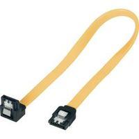 SATA II (300) cable L-type 30 cm yellow with short plug 1x angled Bulk