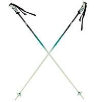 Salomon Arctic Ski Poles Ladies