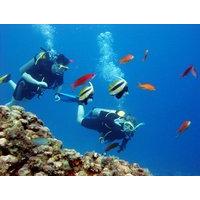 Scuba Diving - from Fethiye