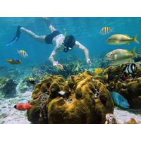 scuba diving in cancun