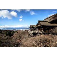 Scholar-led Kyoto Walking Tour: Shintoism and Buddhism in Japan