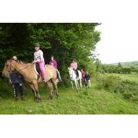 scenic 1 hour horseback ride through unspoiled mountain pastures in ti ...
