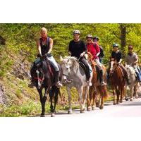 scenic horseback riding tour from san juan