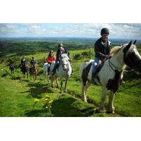 Scenic Horseback Riding Tour through Unspoiled Mountain Pastures of Tipperary
