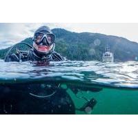 Scuba Diving in Howe Sound