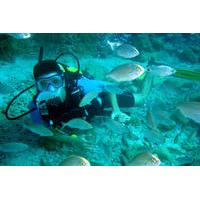Scuba Diving from Marmaris