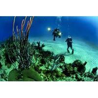 Scuba Diving Day Trip from Cartagena