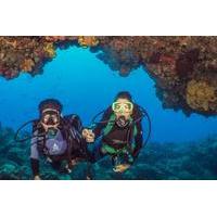 Scuba Diving Tour in Cozumel with Beach Break or Second Dive