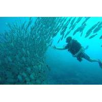 Scuba Diving at Playa Hermosa, Coco and Ocotal Beach