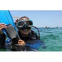 Scuba Review and Refresher Program in Cabo San Lucas