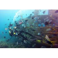 Scuba Dive Package in Bayahibe