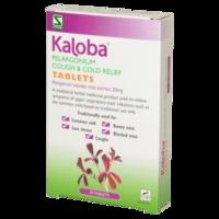 Schwabe Kaloba Pelargonium tablets 30 tablet