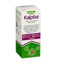 Schwabe Pharma Kaloba Cough & Cold Relief Oral Drops 20ml - 20 ml