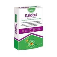 Schwabe Kaloba Pelargonium tablets 30 tablet (1 x 30 tablet)