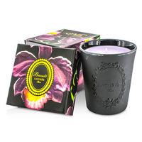 scented candle iris limited edition 220g776oz