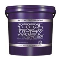 Scitec Nutrition 100% Whey Protein 5000g Schokolade Minze