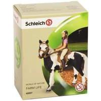 Schleich Riding Set