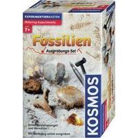Science kit Kosmos Ausgrabungsset Fossilien 630461 7 years and over