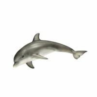 Schleich Dolphin Sealife Model