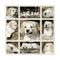 Schmidt Puppies (1000 Pieces)