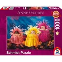 Schmidt Anne Geddes (59361)