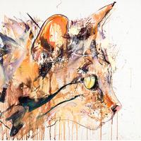 Scottish Wildcat By Dave White