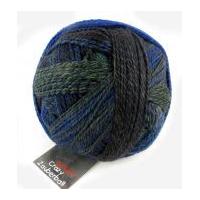 Schoppel Wolle Crazy Zauberball Sock Knitting Yarn 2178 Blue/Navy/Green