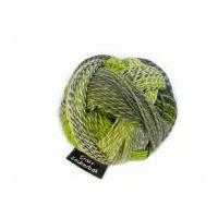 Schoppel Wolle Crazy Zauberball Sock Knitting Yarn 2204 Green/Grey