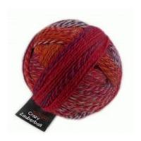 Schoppel Wolle Crazy Zauberball Sock Knitting Yarn 2231 Wine/Navy/Grey