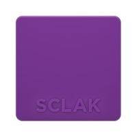 SCLAK Bluetooth Access Control System