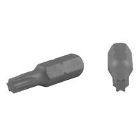 Screwdriver Bits Torx