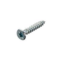 Schneider Electric 3719387 Twin Thread Recessed Screw 8 x 1\