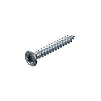 Schneider Electric 3719196 Twin Thread Recessed Screw 6 x 1\