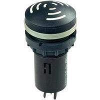 Schlegel RSG-24V piezo transducer