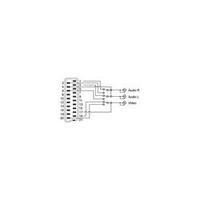 SCART / RCA composite TV/receiver Cable [1x SCART plug - 3x RCA plug (phono)] 2 m Black SpeaKa Professional