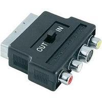 SCART / RCA composite / S-Video AV Adapter [1x SCART plug - 3x RCA socket (phono), S-Video socket] 0 m Black Hama
