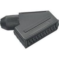 SCART connector Socket, right angle Number of pins: 21 Black BKL Electronic 903014 1 pc(s)