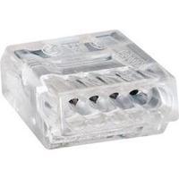 Screw terminal flexible: - rigid...