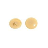 Screw Cover Cap for Pozi Screw Maple No. 6 & No. 8 ( pack of 1000 )