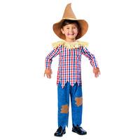 Scarecrow Costume - Kids