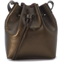 SchÃ¶neberg Brema small bucket bag in brass laminated leather women\'s Shoulder Bag in brown