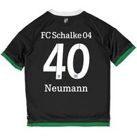 Schalke 04 Third Shirt 2015-17 - Kids Grey with Neumann 40 printing, Grey